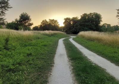 Un coin de paradis dans le nouveau St Thibault